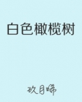 白色橄榄树电视剧完整版免费观看