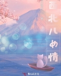 西北儿女情小说