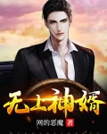 无上神婿北辰全文免费阅读