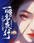 少将夫人每天都要离婚