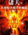 诸天:从成为圣域开始崛起