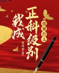 官途,从小科员到一省之首!