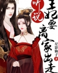 皇叔，王妃又翻墙了
