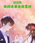 主角娶了徐慧珍的四合院小说