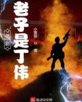 亮剑:老子是丁伟TXT