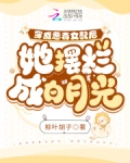 穿成恶毒女配后成功洗白 小说