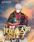 海贼之我是赤犬飞卢