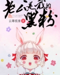 影帝老公头号黑粉
