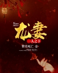 一人之下：龙妻
