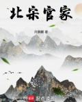 北宋官家顶点