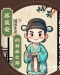 苏辰安的科举之路小说在线阅读