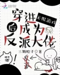穿进无限游戏后成为反派大佬晋江