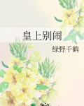 皇上别闹讲的什么内容