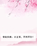帝凤归来,王妃要休夫全文免费阅读