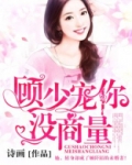 顾少宠你没商量 小说