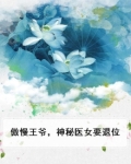 傲慢王爷，神秘医女要退位