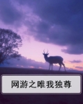网游之唯我独尊