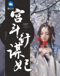 宫斗妃设格式