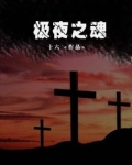 极夜之歌怎么搭配