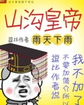 王朝崛起