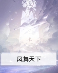 凤舞天下