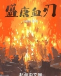 盛唐血刃全文阅读