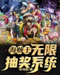 海贼王无限抽奖系统 小说