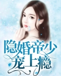 隐婚帝少深深宠