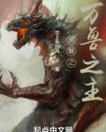 宠魅之万兽之主为什么看不了