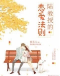 陆教授的恋爱法则全文阅读