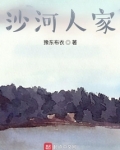 沙河人家46度价格