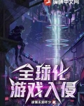 游戏全球化小说
