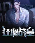 狂澜战皇