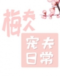 梅夫人宠夫日常电视剧