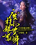 废柴全系魔法师