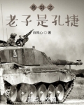 亮剑之老子是孔捷