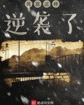 我就这样出名了免费阅读