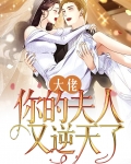 大佬,你的夫人又逆天了免费阅读