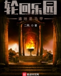 轮回乐园：遍地是马甲