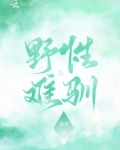野性难驯打一最佳生肖
