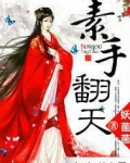 网游之素手翻天