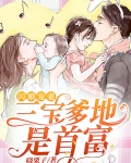 闪婚宠妻：三宝爹地是首富