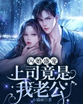 闪婚盛宠上司竟是我老公小说