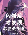 闪婚后才发现老婆是明星