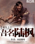 重生之吾名陆枫