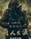 我的军火商人生涯冫?
