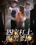 一胎四宝亿万爹地腹黑妈咪
