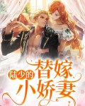 陆少的替嫁小娇妻免费完整版视频
