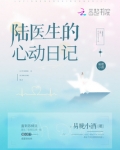 陆医生的心动日记TXT宝书网