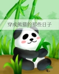 穿成熊猫的那些日子笔趣阁